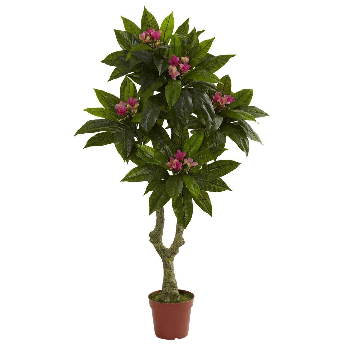 Arbre Plumeria de 5 pi résistant aux UV (intérieur/extérieur)