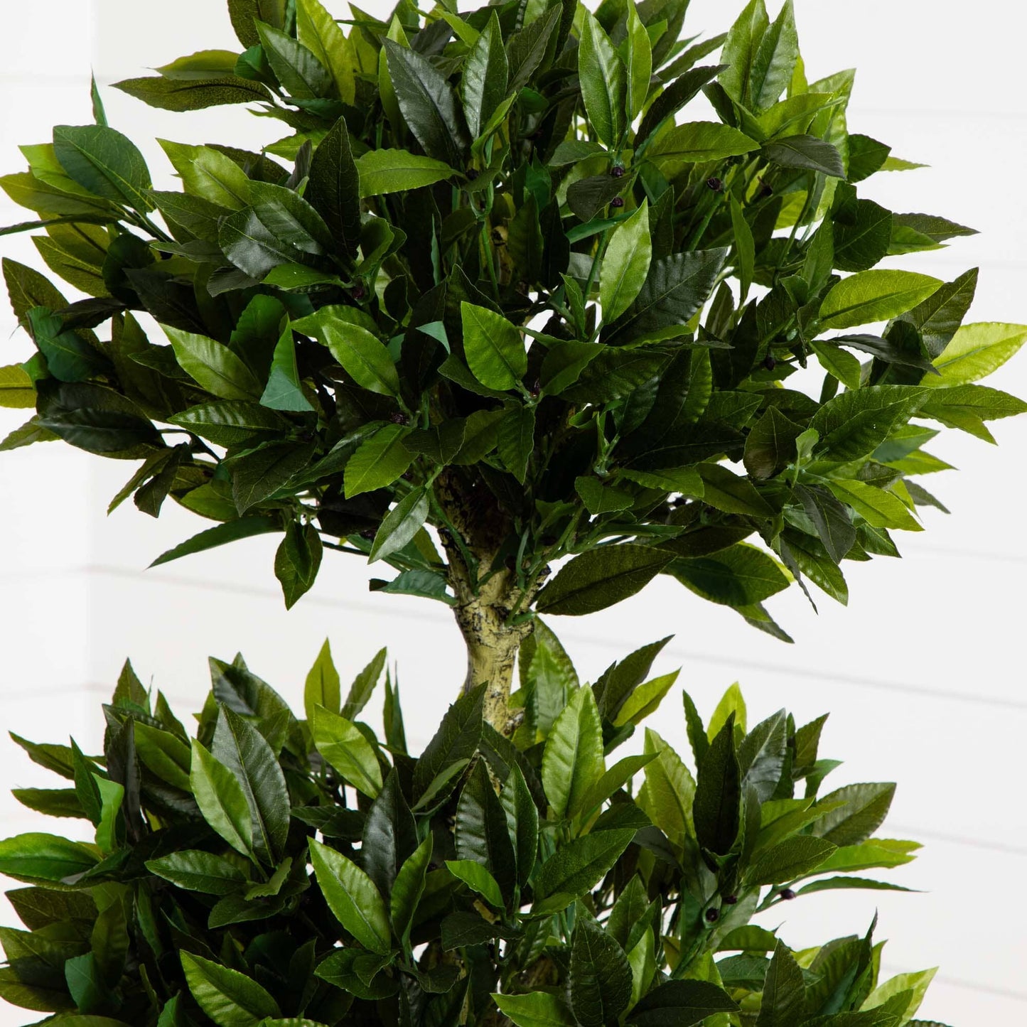 5' Triple Bay Leaf Topiary UV Resistant (Indoor/Outdoor)