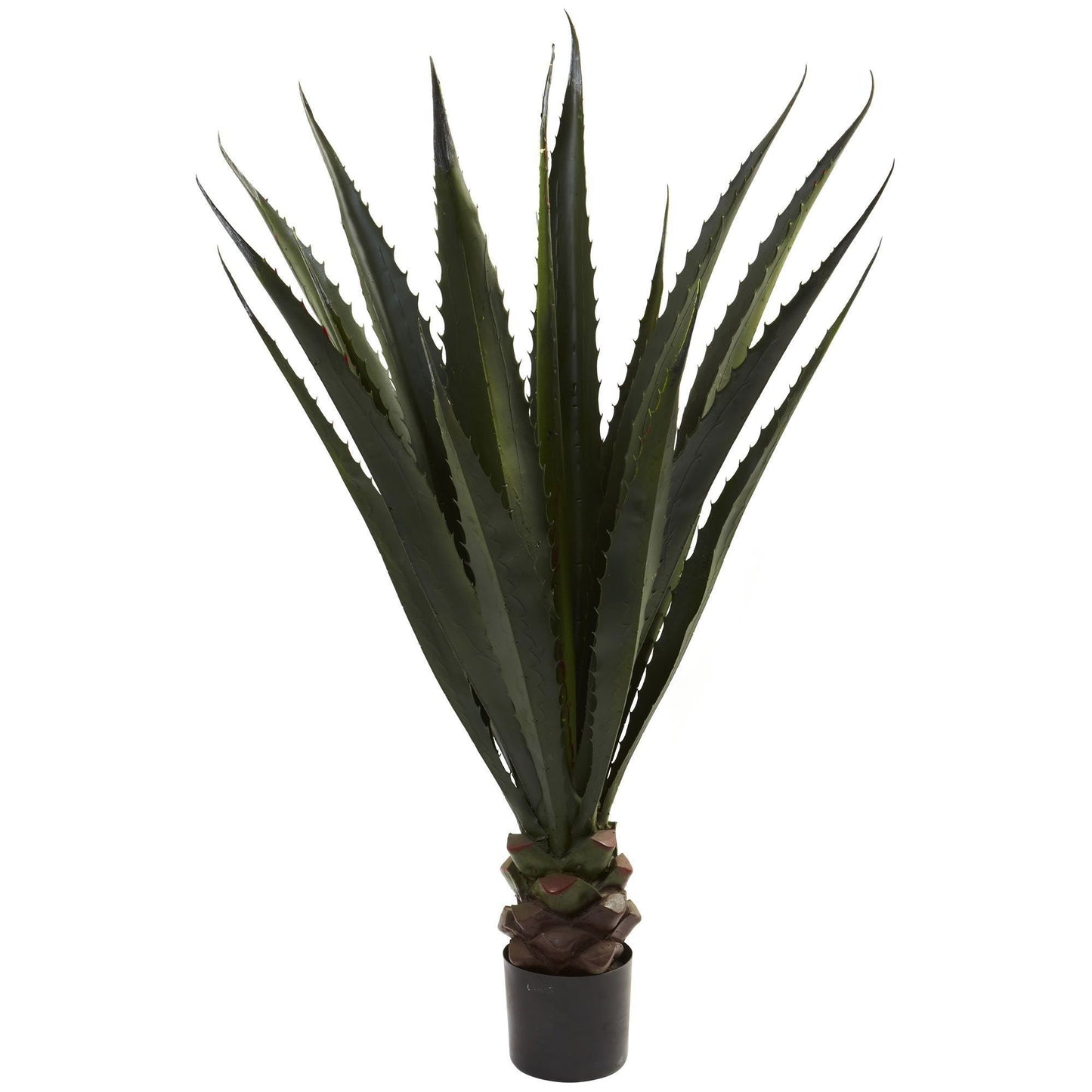 Plante d'agave géante de 52 pouces