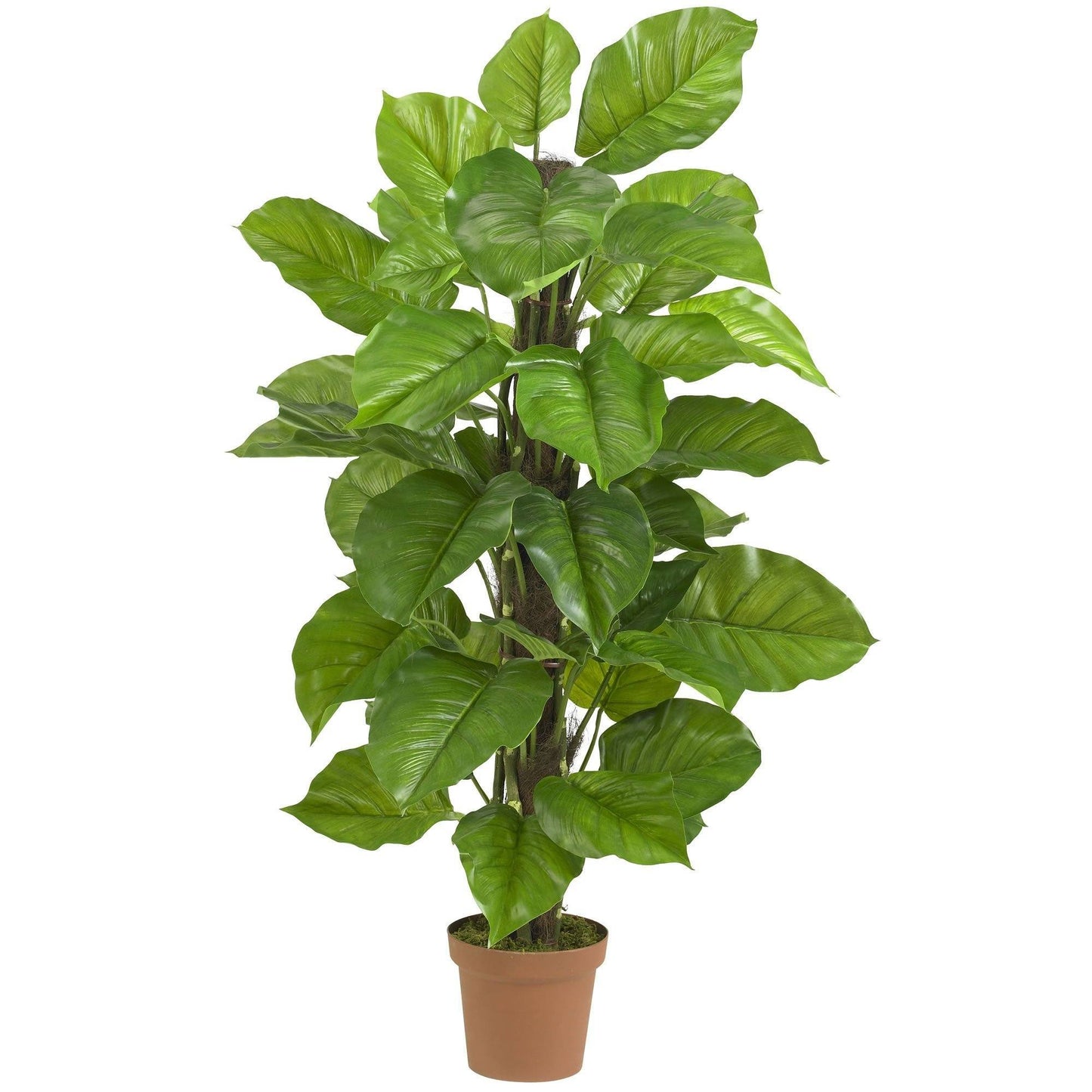 Plante en soie Philodendron à grandes feuilles de 52 po (Real Touch)