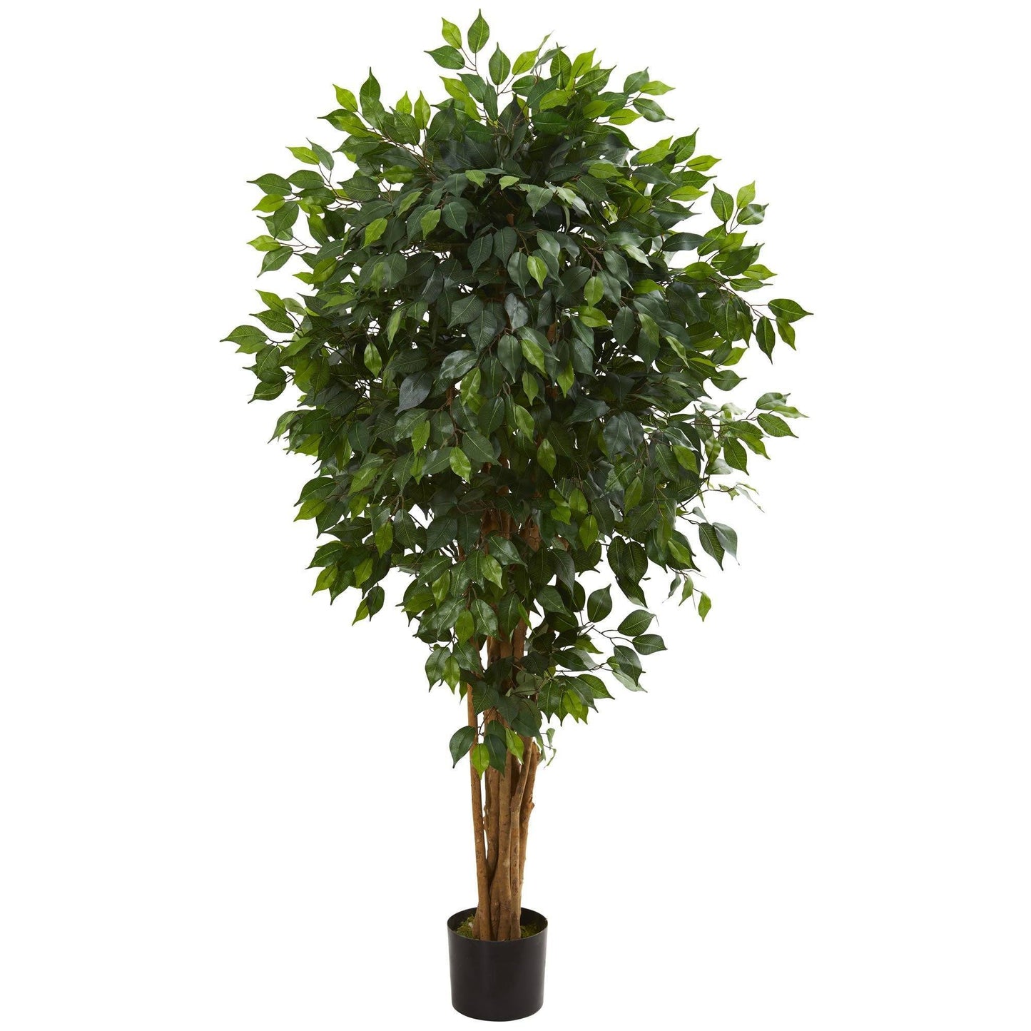 Arbre ficus artificiel de 5,5 pi, troncs groupés