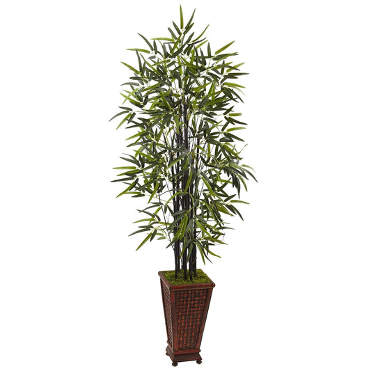 5.5’ Black Bamboo Tree in Decorative Planter