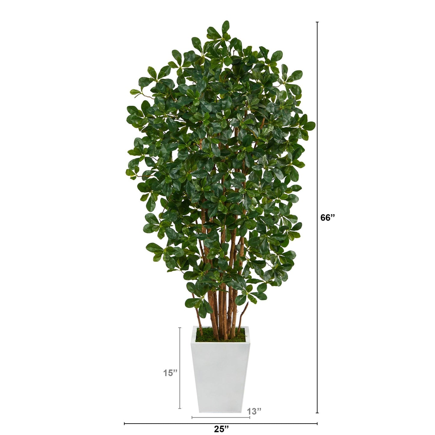 5.5’ Black Olive Artificial Tree with 1365 Bendable Leaves in Metal White Planter