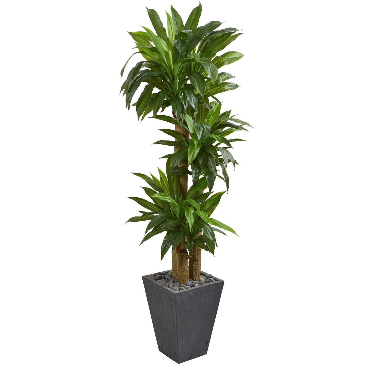 Plante artificielle Dracaena à tige de maïs de 5,5 pi dans une jardinière en ardoise (Real Touch)