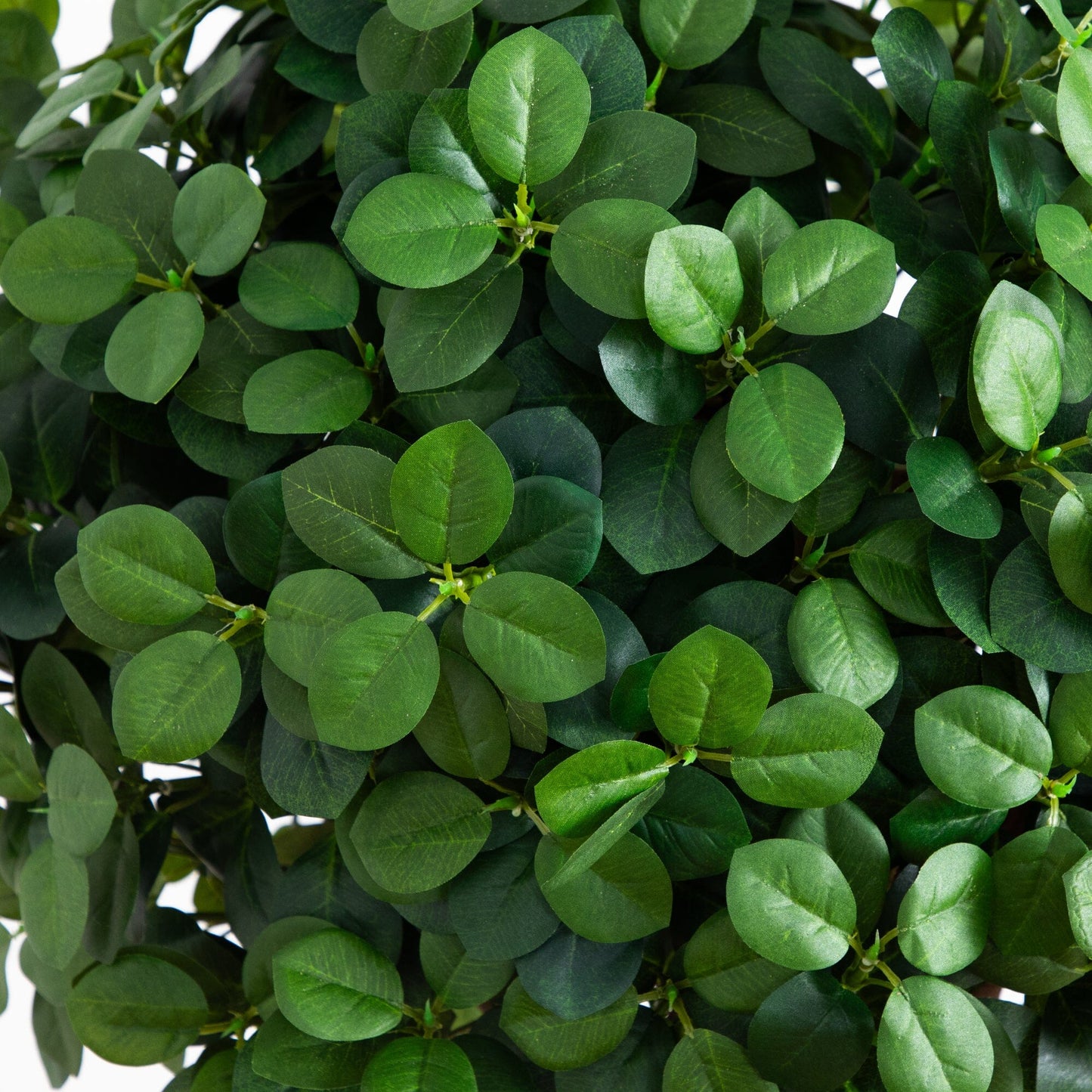 Árbol topiario de seda con doble bola de eucalipto de 5,5 pies