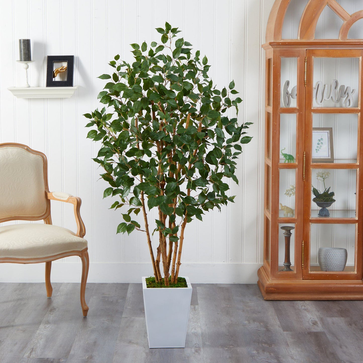 5.5' Ficus Bushy Artificial Tree in White Metal Planter