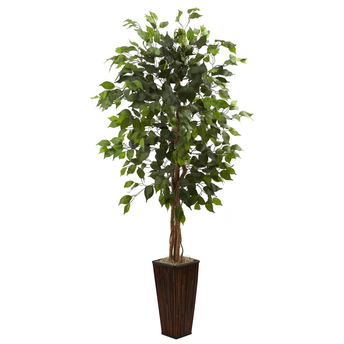 Arbre ficus de 5,5 pi avec jardinière en bambou