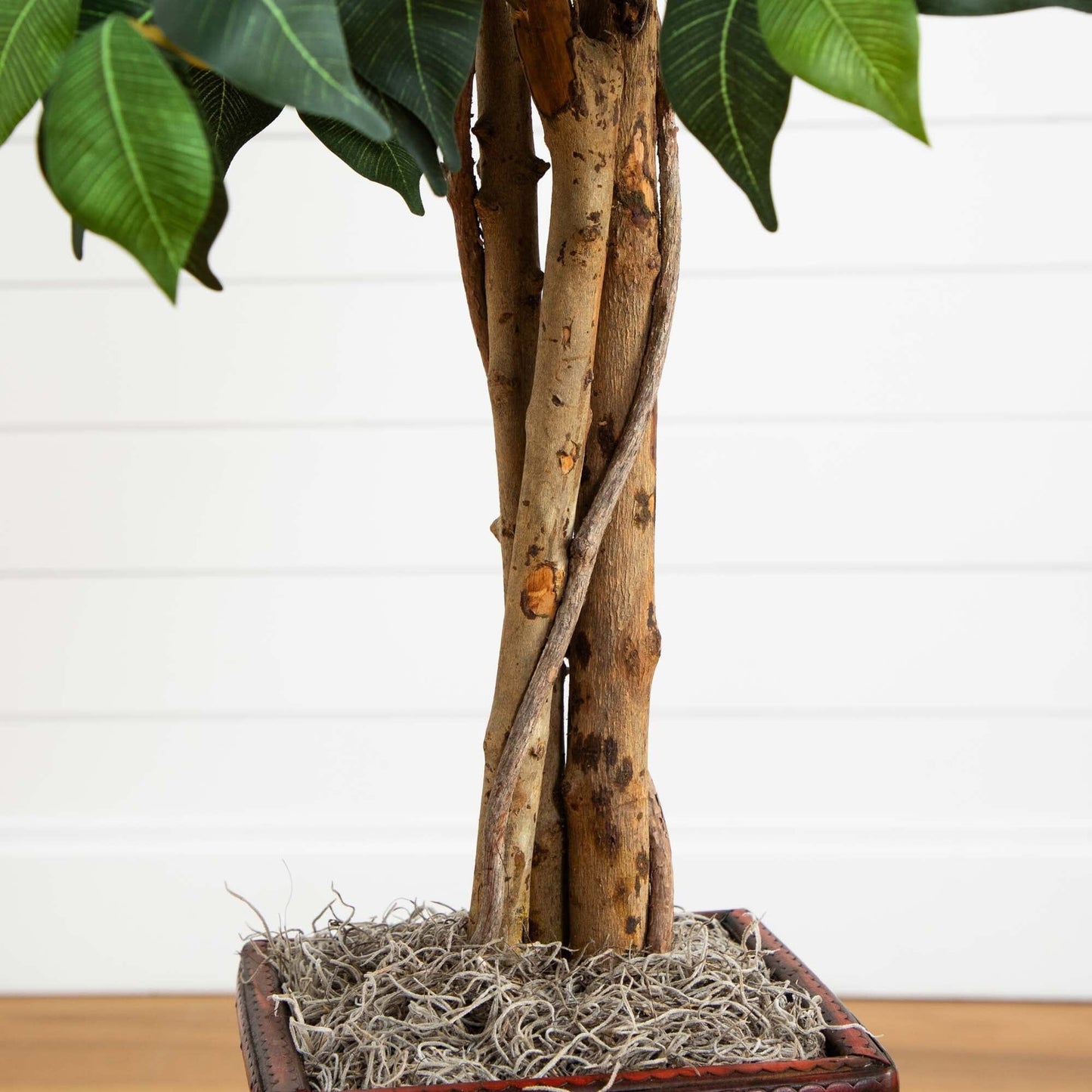 Arbre ficus de 5,5 pi avec jardinière en bambou