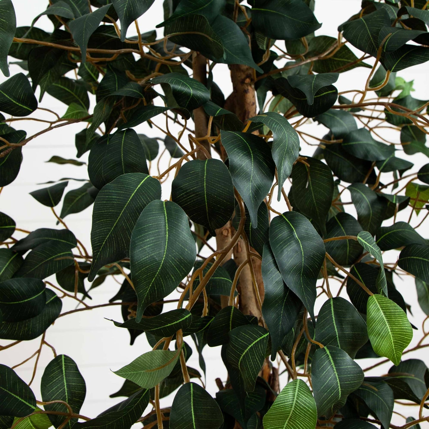 Arbre ficus de 5,5 pi avec jardinière en bambou