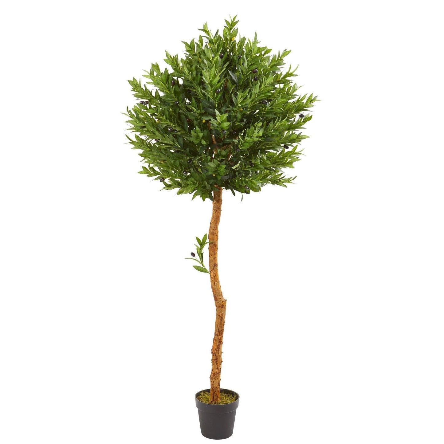 Árbol artificial topiario de olivo de 5,5 pies resistente a los rayos UV (interior/exterior)