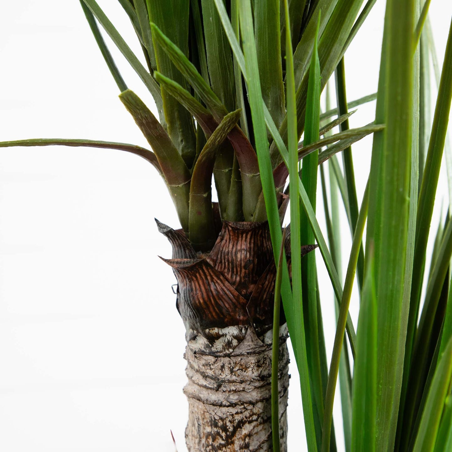 Árbol de yuca artificial de 5,5 pies en maceta blanca