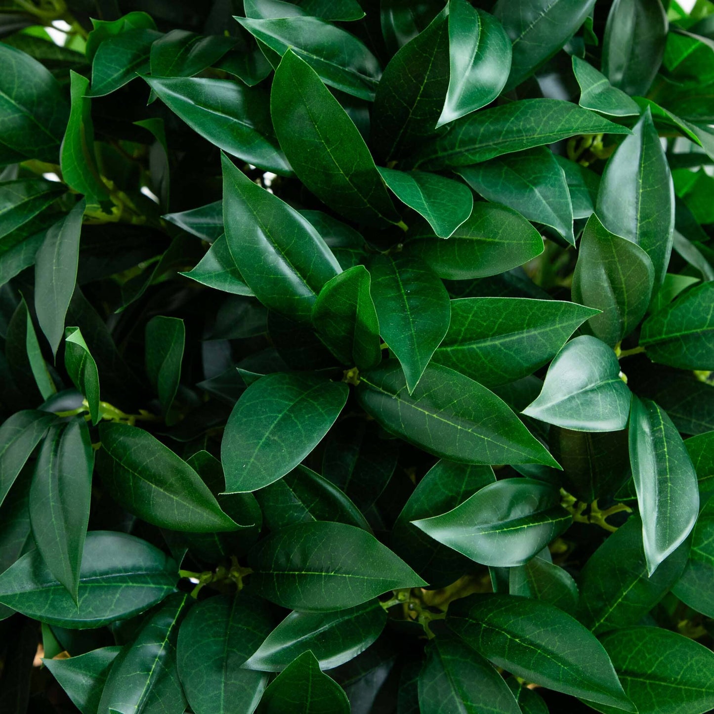 Arbre topiaire artificiel en forme de cône de feuille de laurier de 56 po résistant aux UV dans une jardinière noire (intérieur/extérieur)