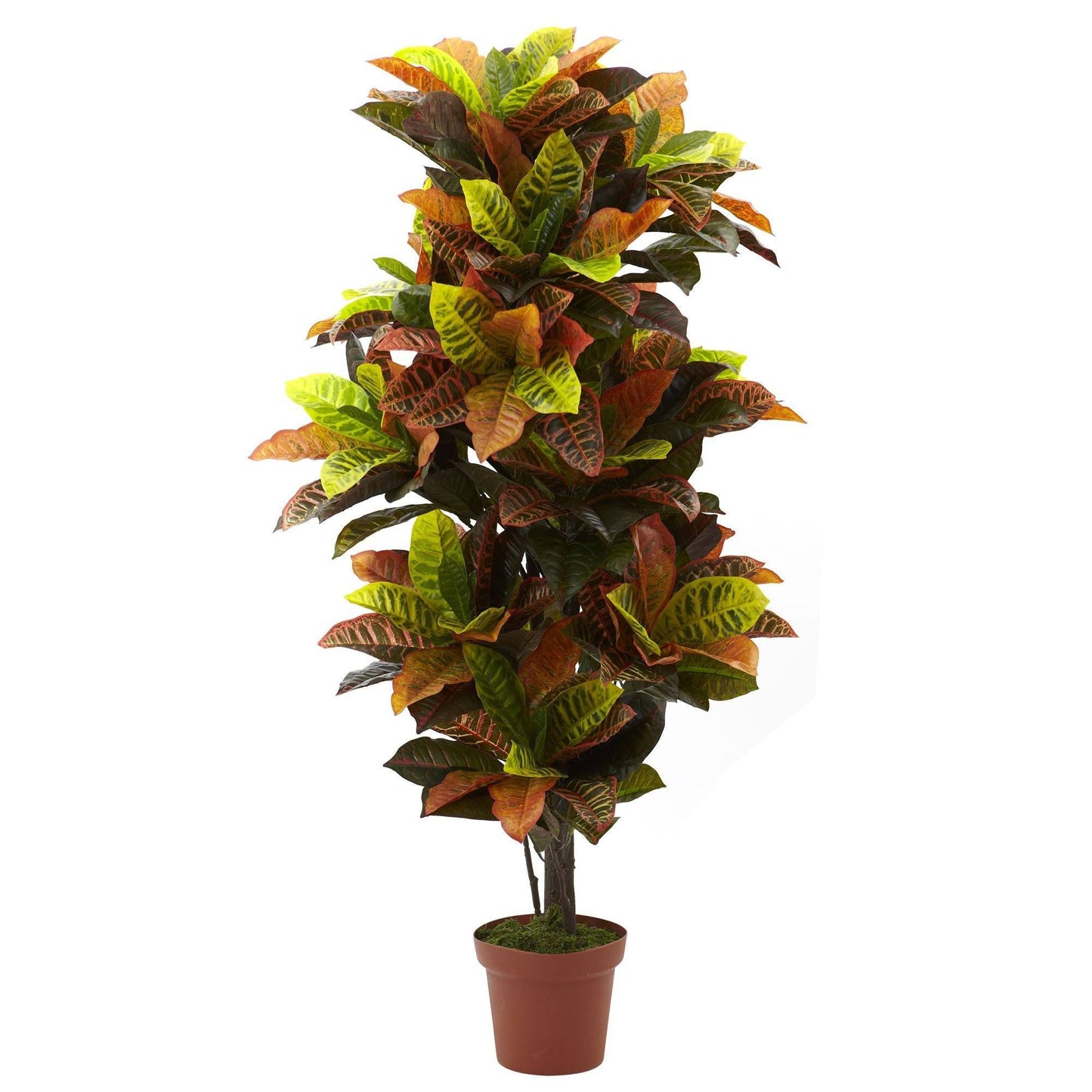 Plante Croton de 56 po (Real Touch)