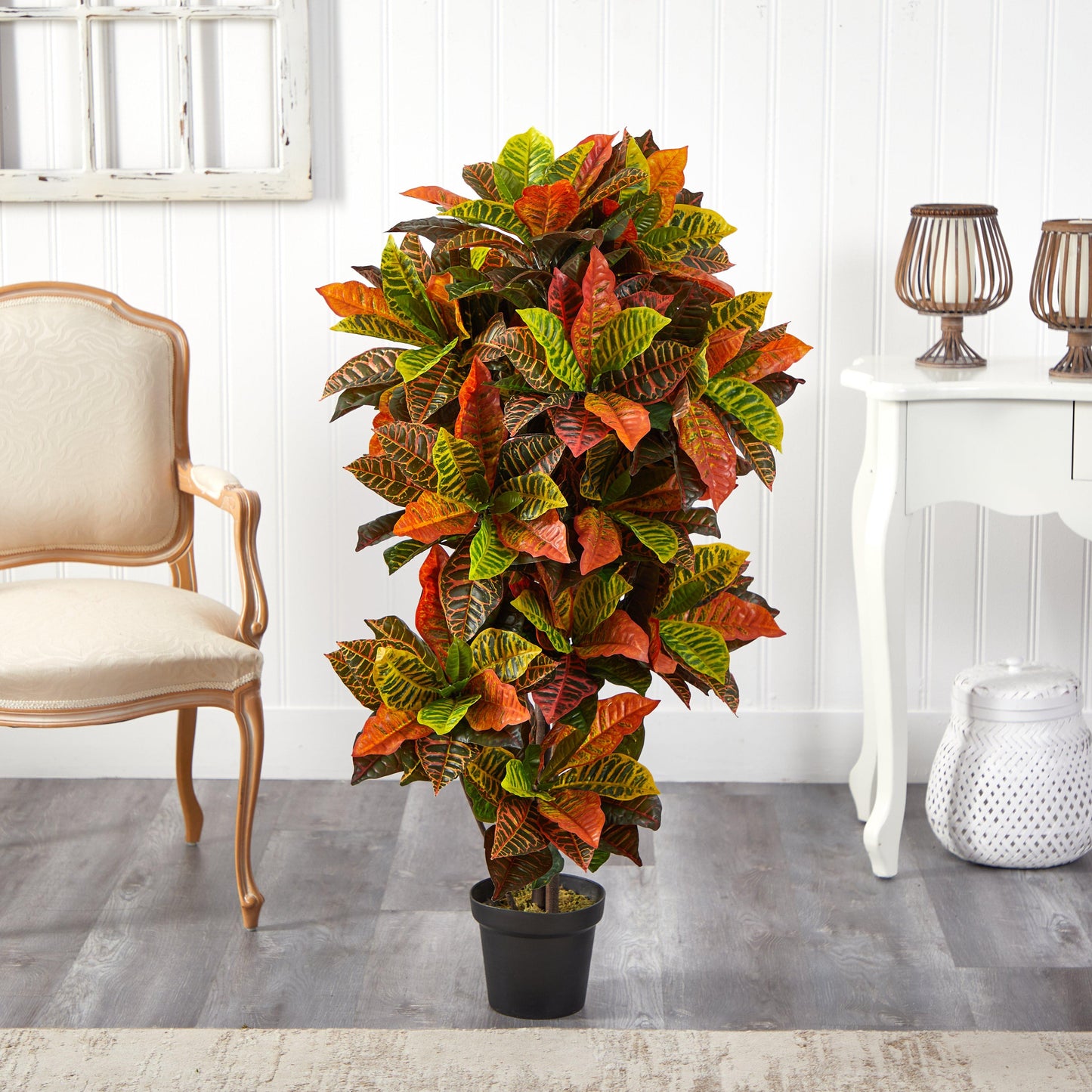 Plante Croton de 56 po (Real Touch)