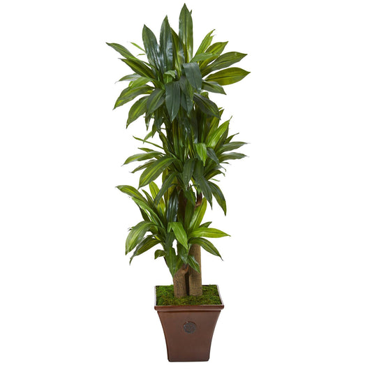 Plante artificielle Dracaena à tige de maïs de 57 po dans une jardinière marron (Real Touch)