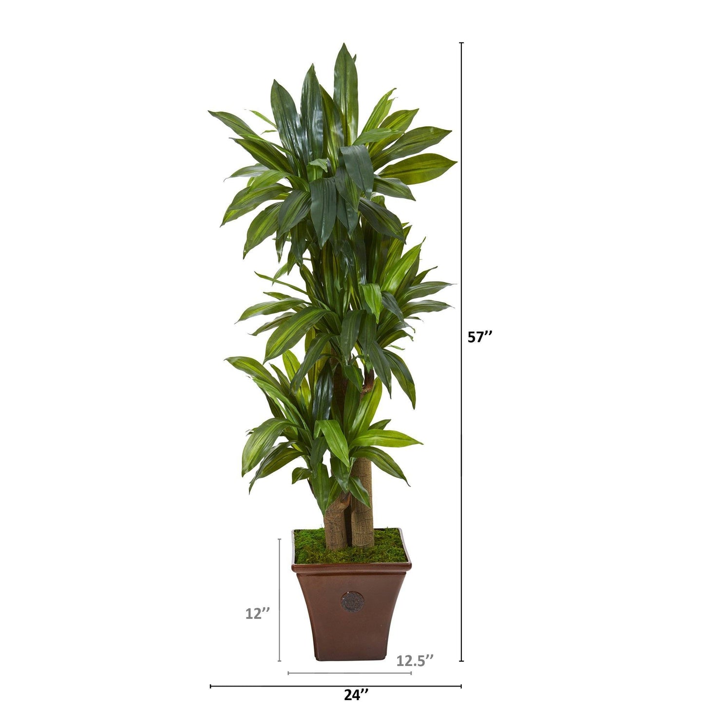 Plante artificielle Dracaena à tige de maïs de 57 po dans une jardinière marron (Real Touch)