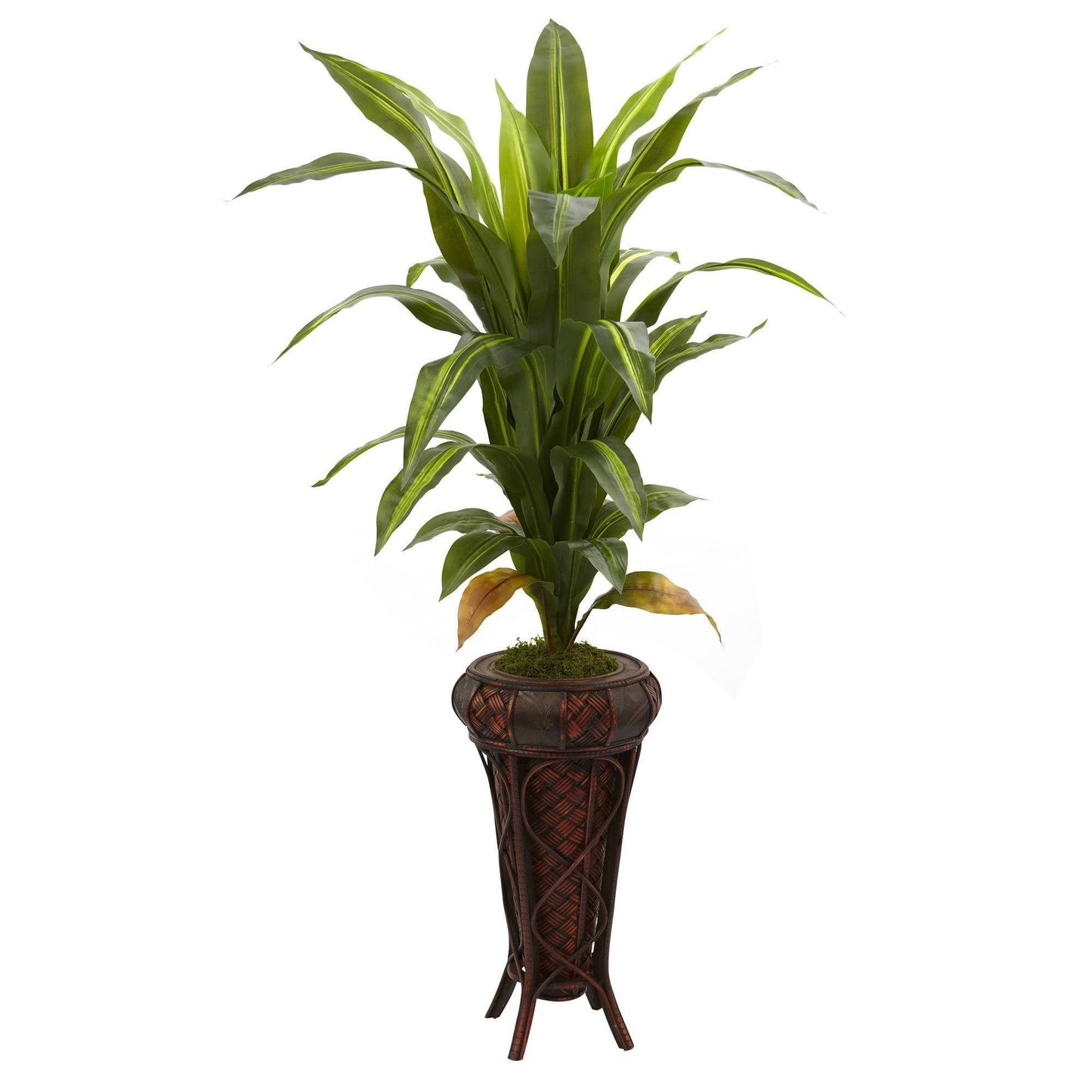 Plante en soie Dracaena avec support de 57 po (Real Touch)