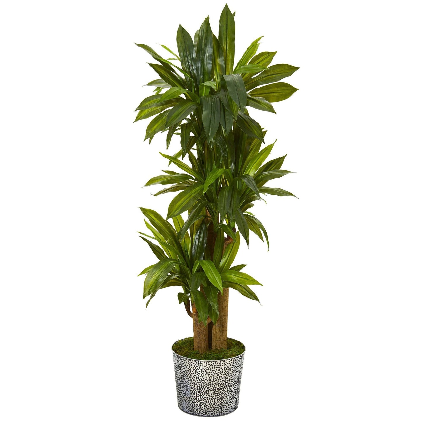 Planta artificial de dracaena de tallo de maíz de 58" en macetero de hojalata con relieve negro (tacto real)