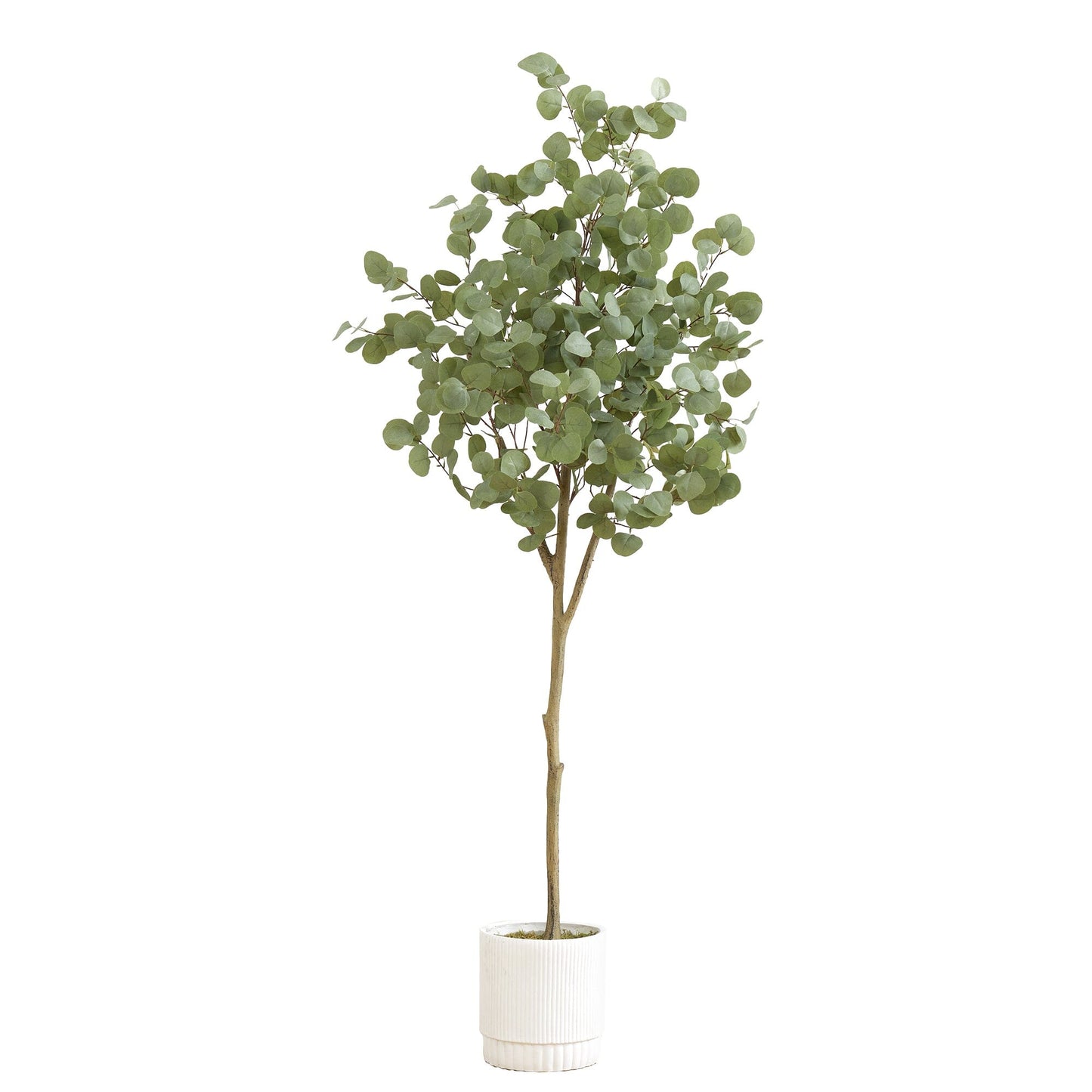 Arbre d'eucalyptus artificiel de 6 pi avec jardinière décorative blanche