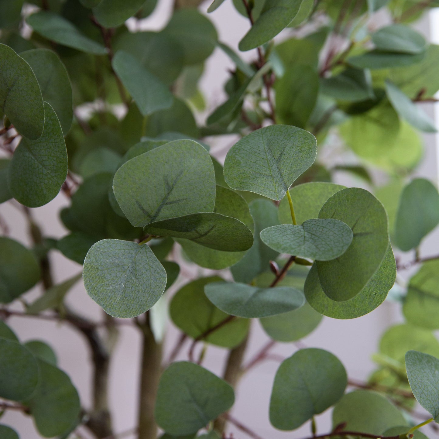 Arbre d'eucalyptus artificiel de 6 pi avec jardinière décorative blanche