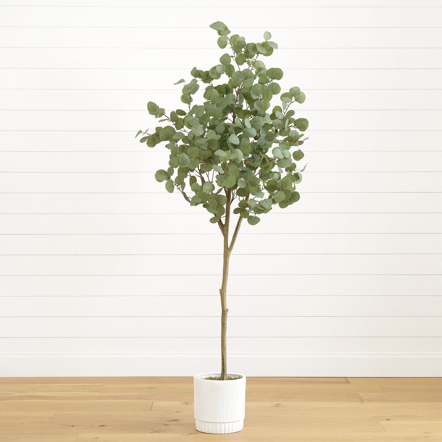 Arbre d'eucalyptus artificiel de 6 pi avec jardinière décorative blanche