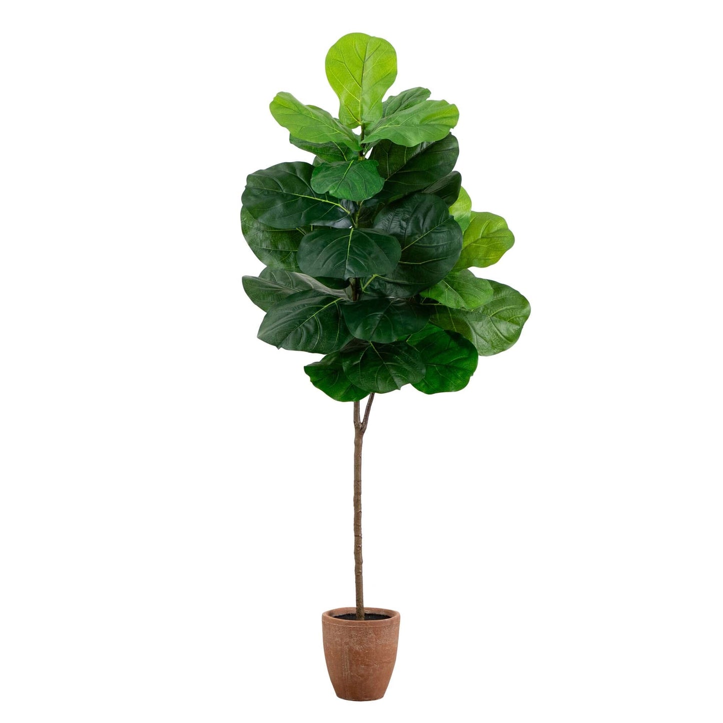 6’ Artificial Giant Leaf Fiddle Leaf Fig Tree in Decorative Planter with Real Touch Leaves