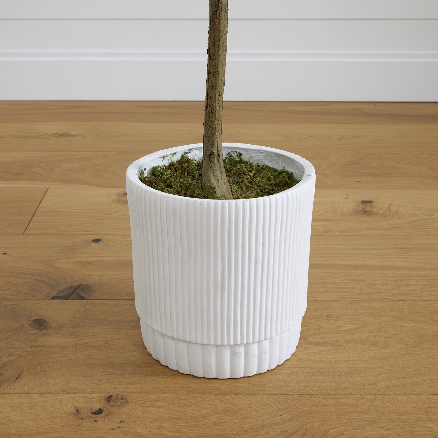 Olivo artificial de 6 pies con jardinera decorativa blanca