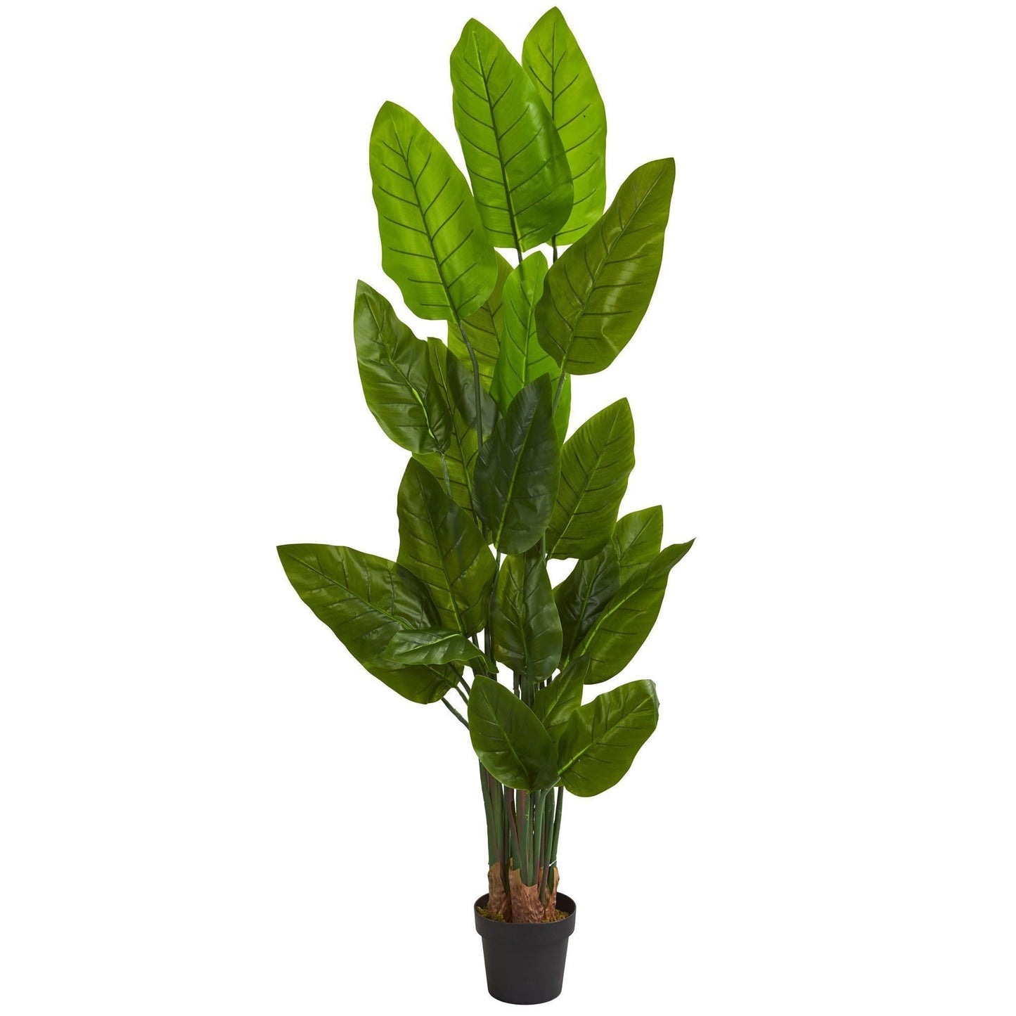 Árbol artificial Canna de 6 pies