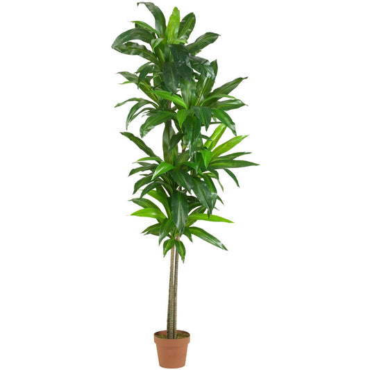 Planta de seda Dracaena de 6 pies (Real Touch)