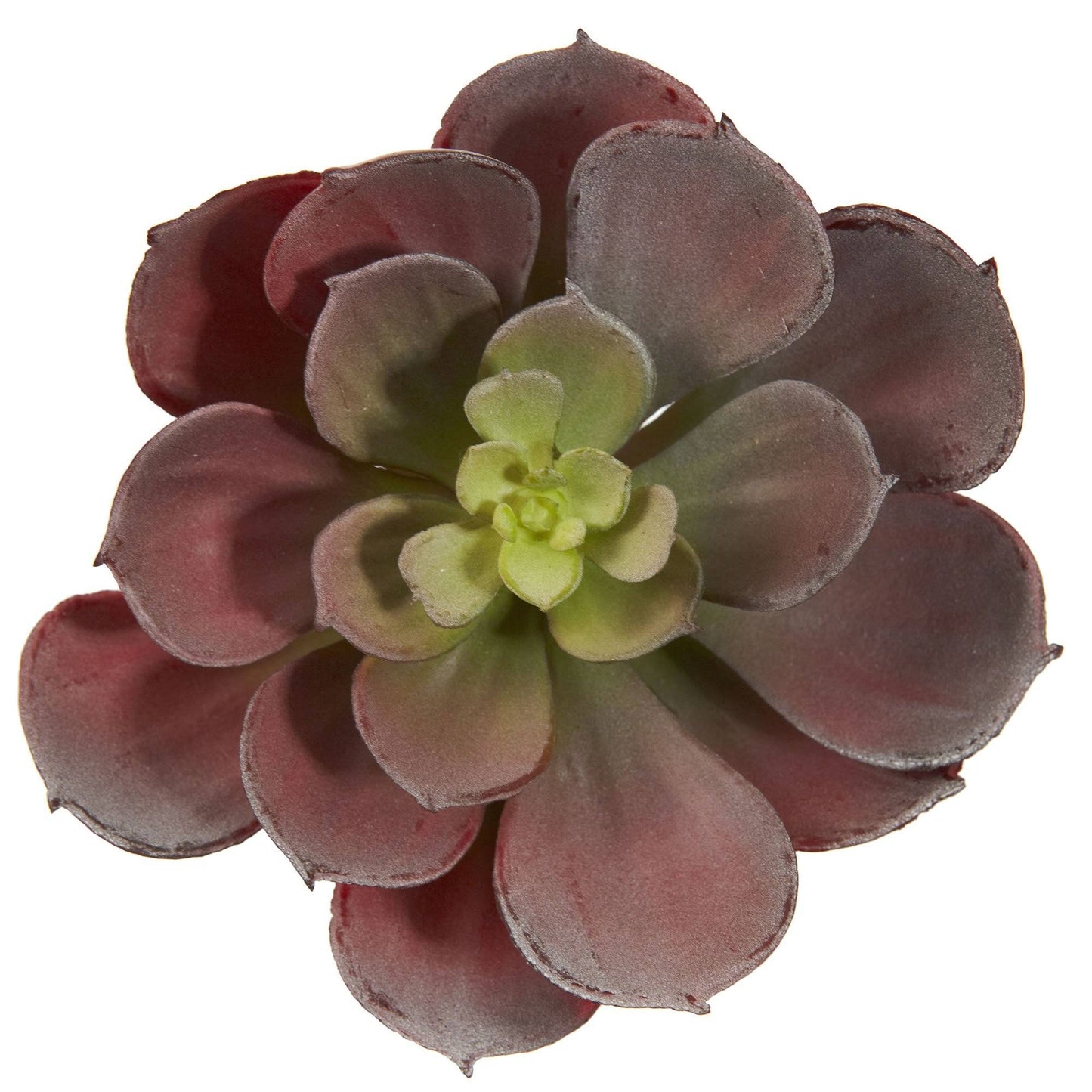 Succulente artificielle Echeveria de 6 po (lot de 12)