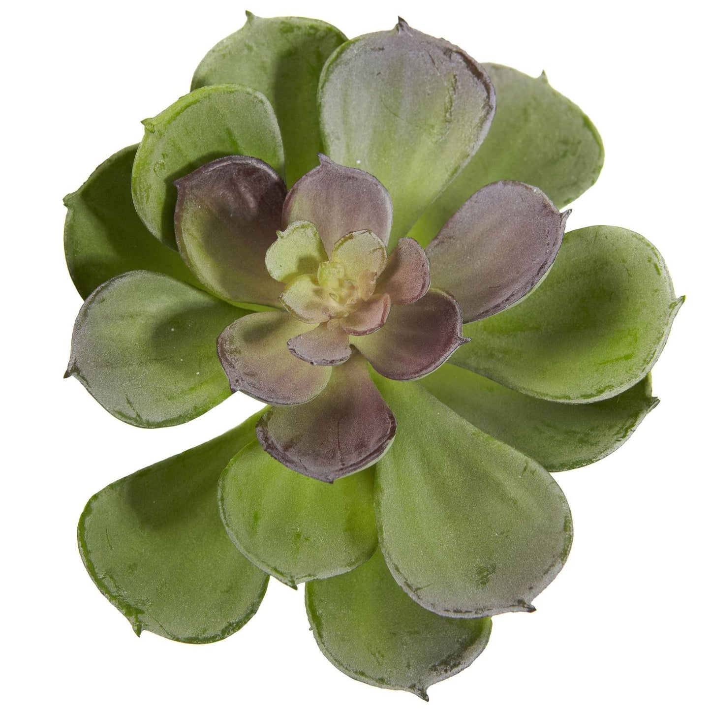 Succulente artificielle Echeveria de 6 po (lot de 12)