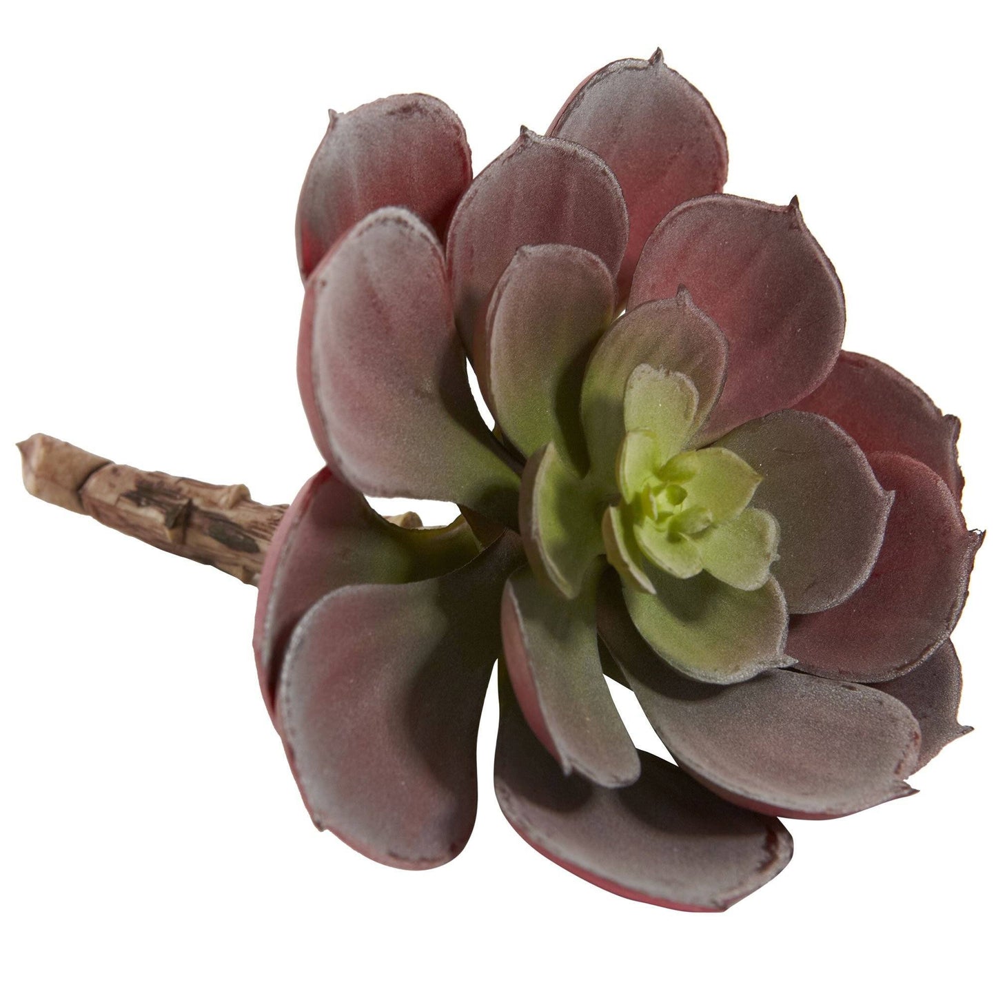 Succulente artificielle Echeveria de 6 po (lot de 12)