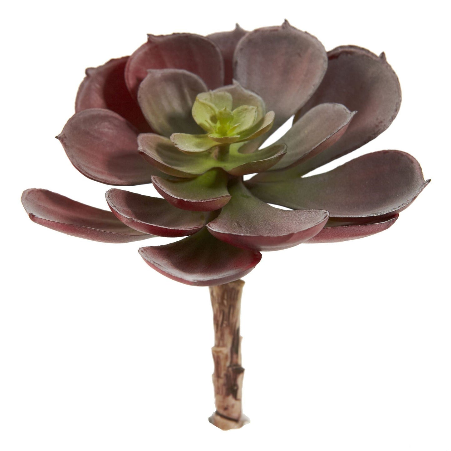 Succulente artificielle Echeveria de 6 po (lot de 12)