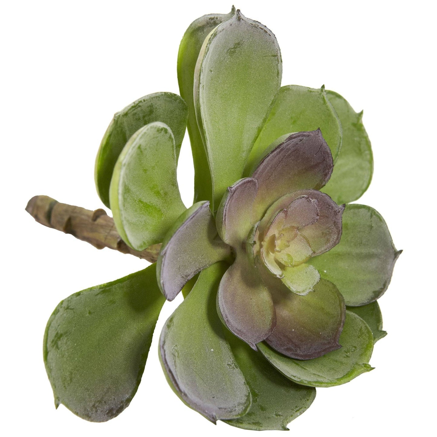 Succulente artificielle Echeveria de 6 po (lot de 12)