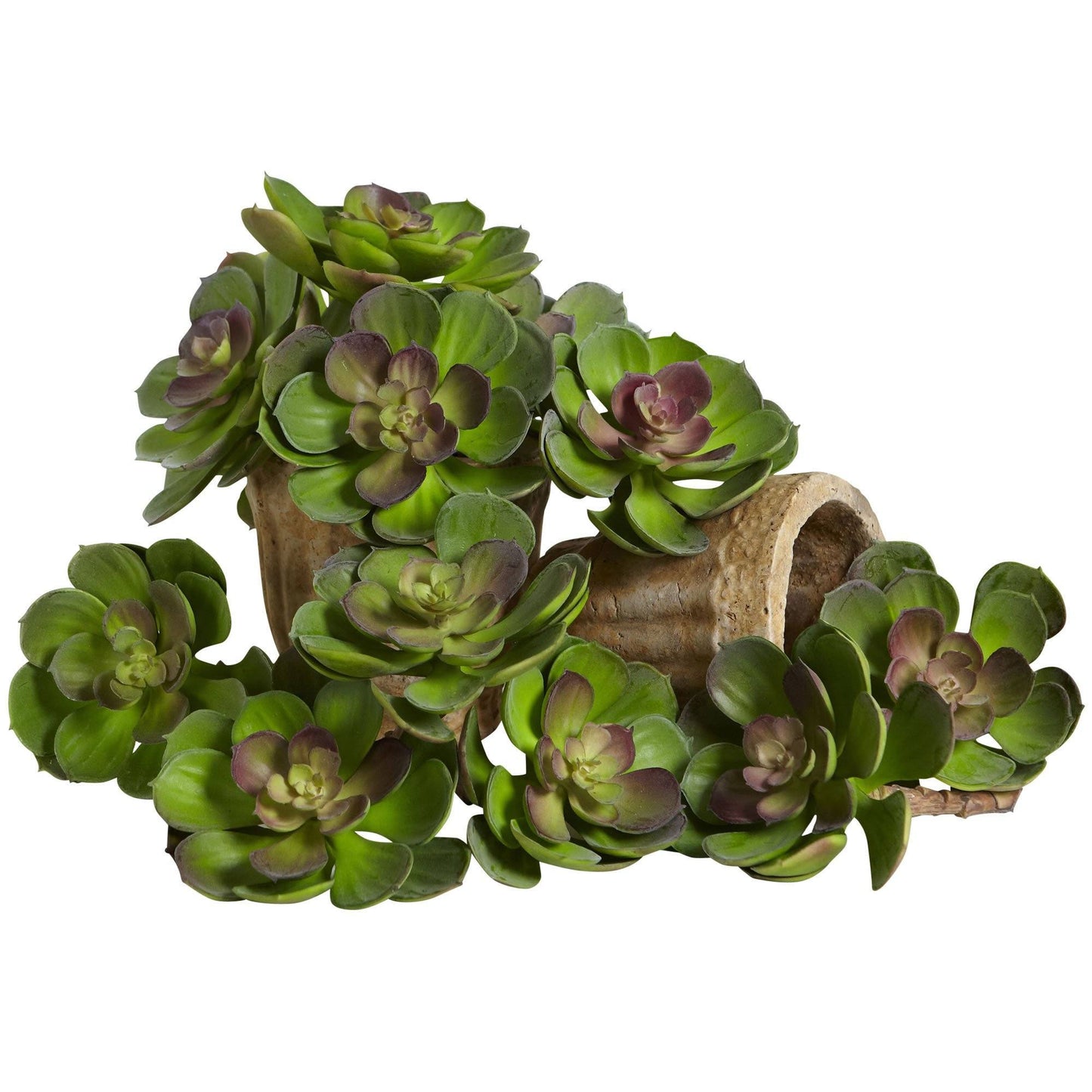 Succulente artificielle Echeveria de 6 po (lot de 12)