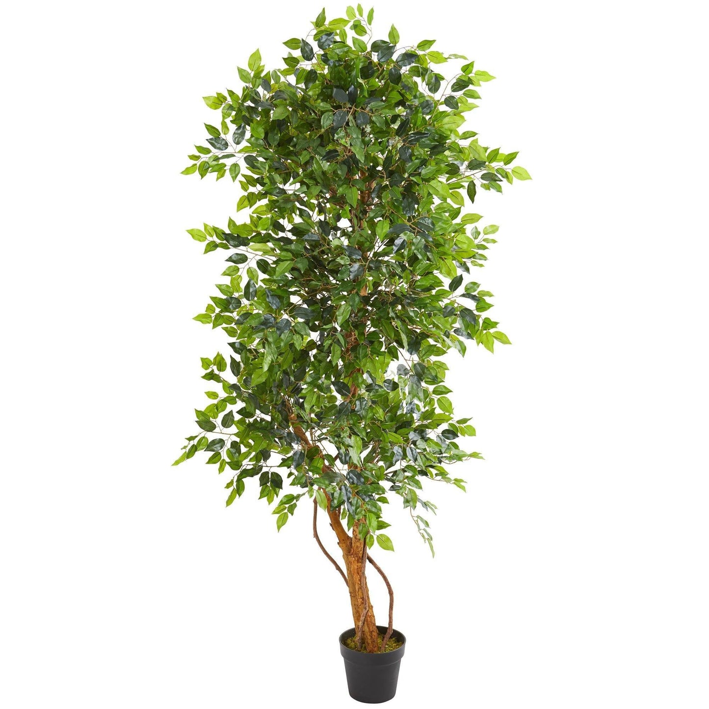 Árbol ficus artificial elegante de 6 pies