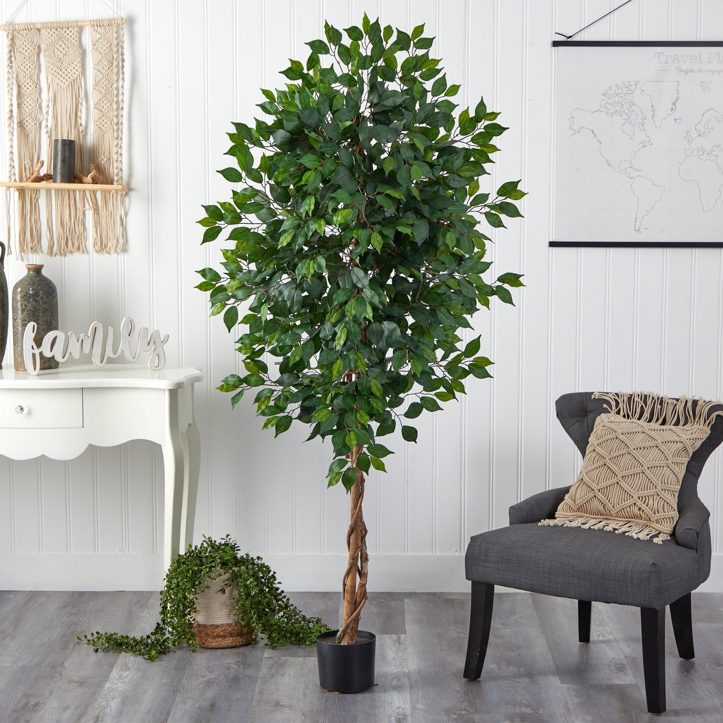 6’ Ficus Artificial Tree in Nursery Planter