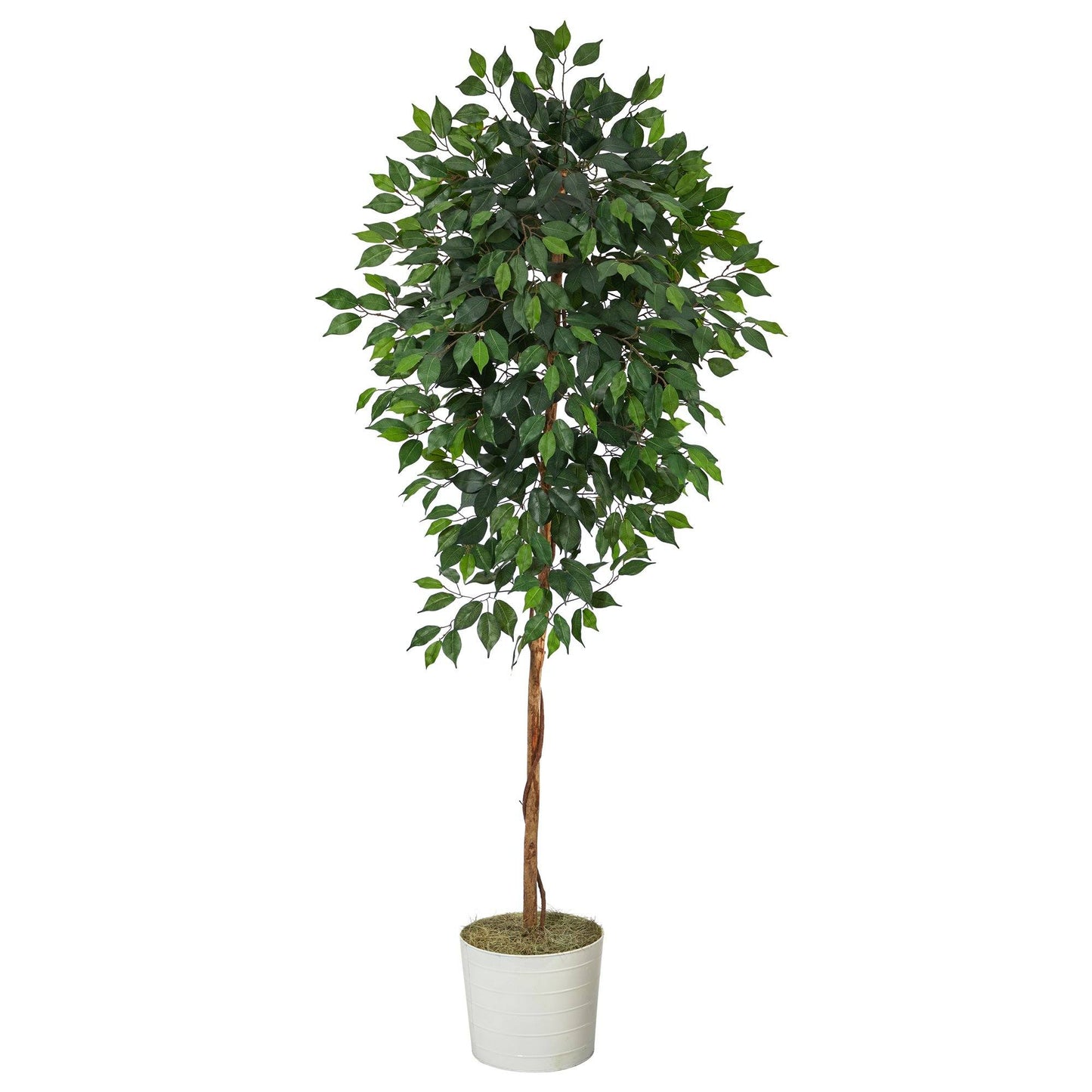 Arbre artificiel Ficus de 6 pi dans une jardinière en étain blanc