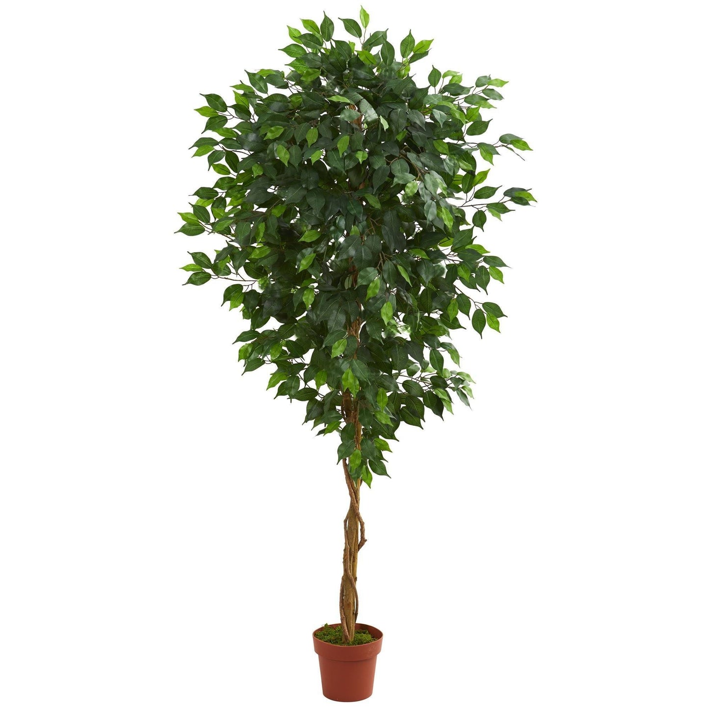 6’ Ficus Artificial Tree in Nursery Planter