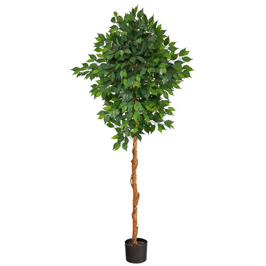 Ficus artificial de 6 pies