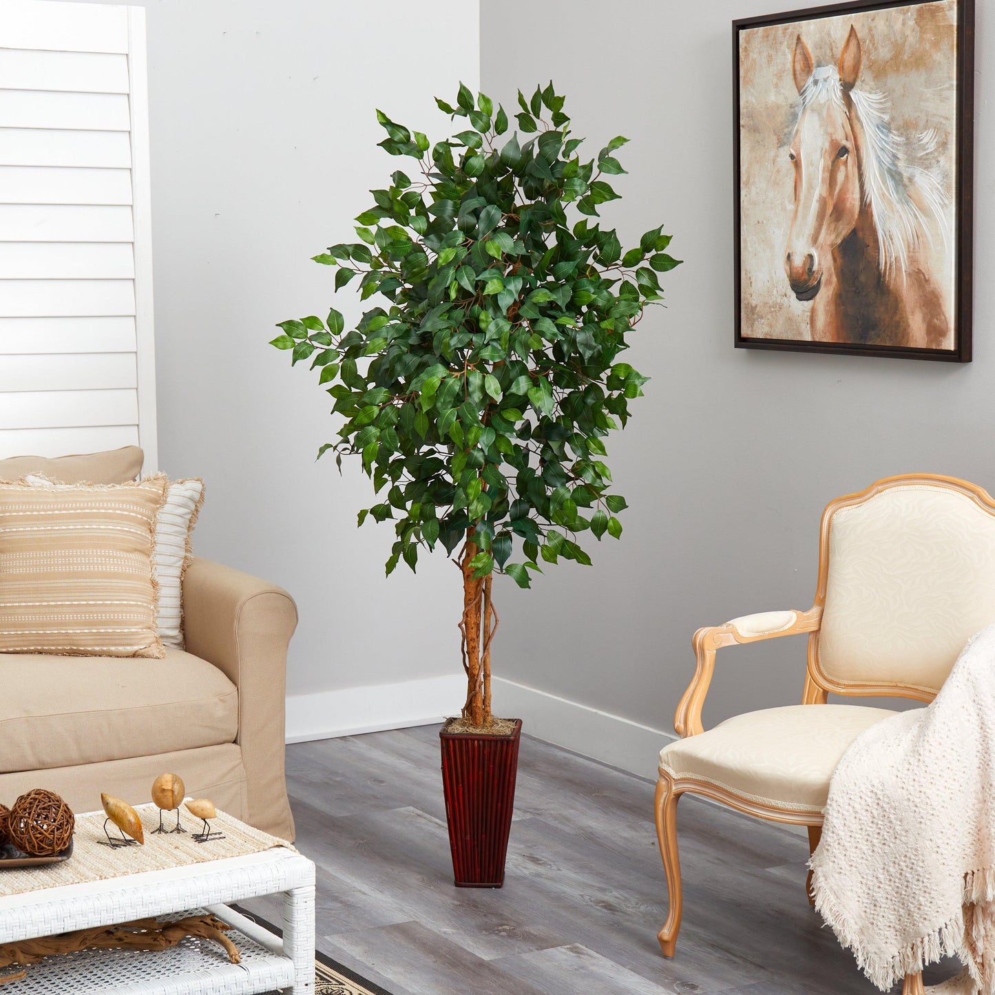 Arbre ficus de 6 pieds avec jardinière en bambou