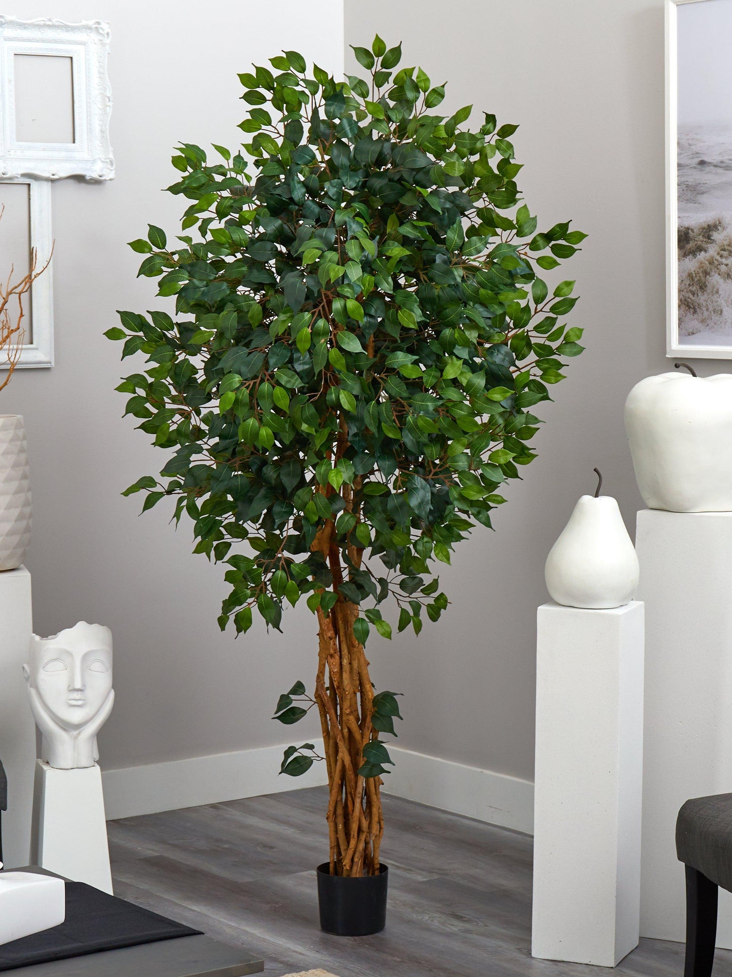 Arbre en soie Ficus de style palais de 6 pieds