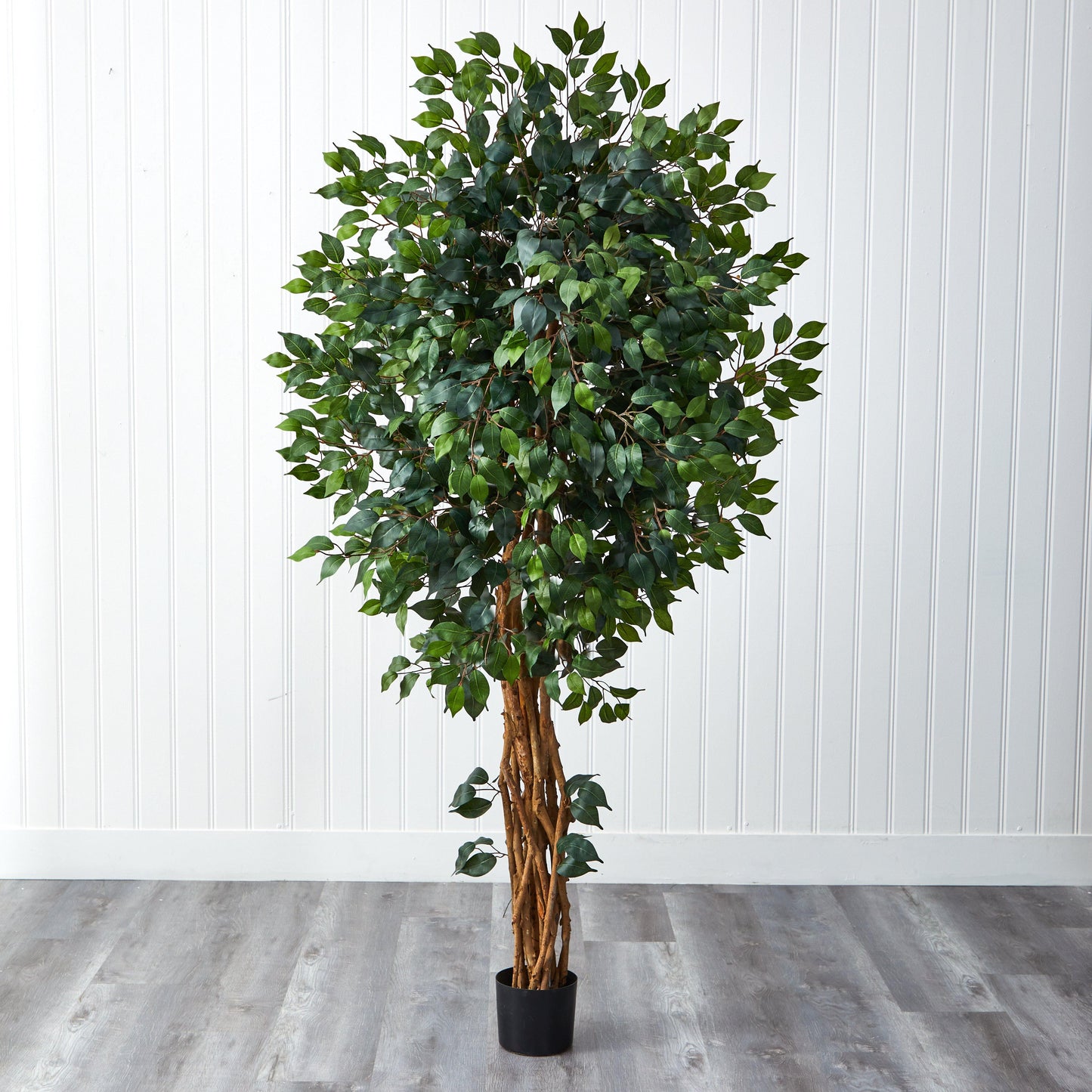 Arbre en soie Ficus de style palais de 6 pieds