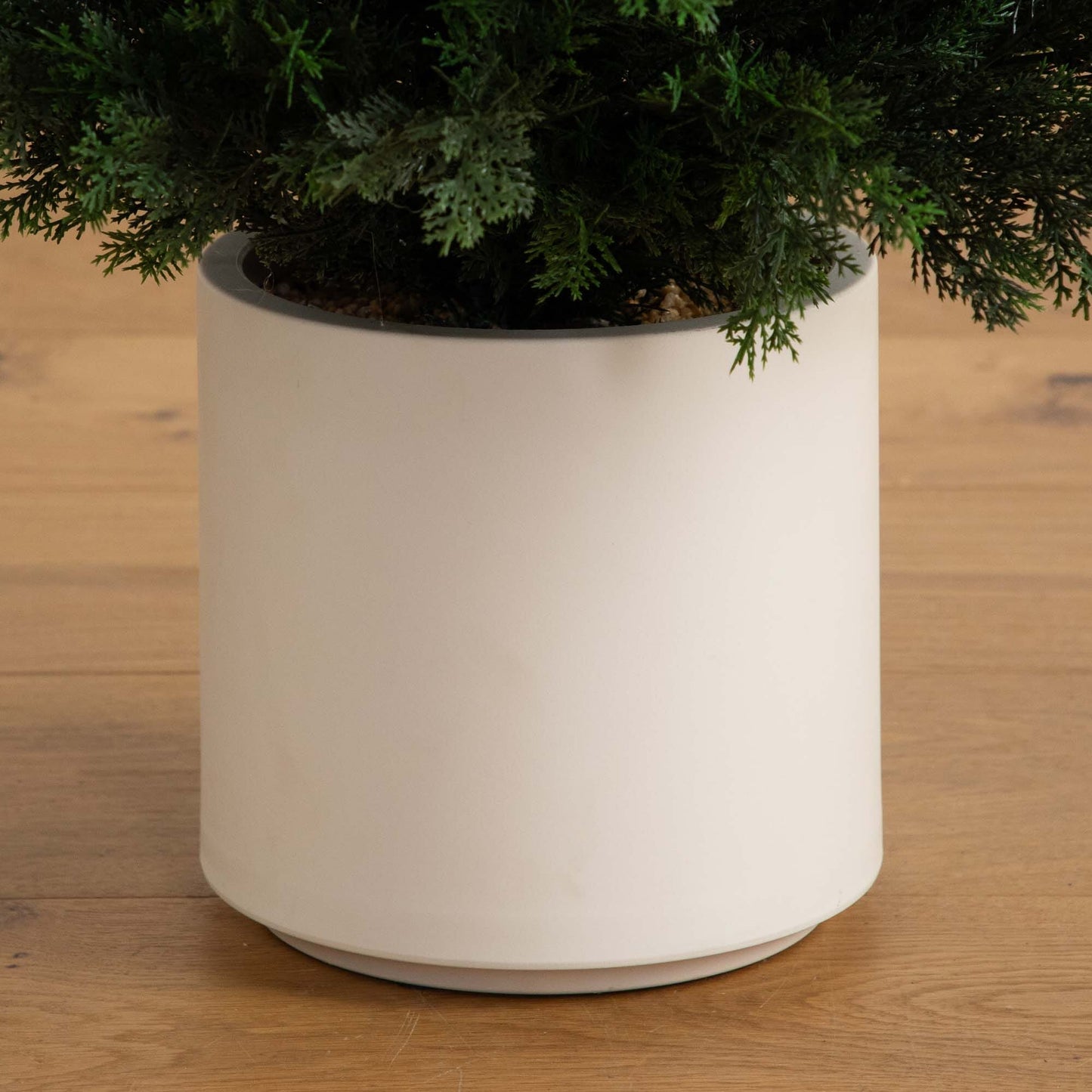 6’ UV Resistant Artificial Cedar Tree in Decorative White Planter (Indoor/Outdoor)