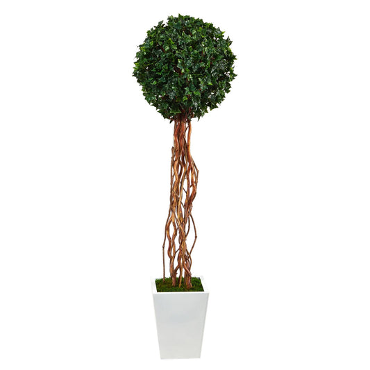 62” English Ivy Single Ball Artificial Topiary Tree in White Metal Planter (Indoor/Outdoor)