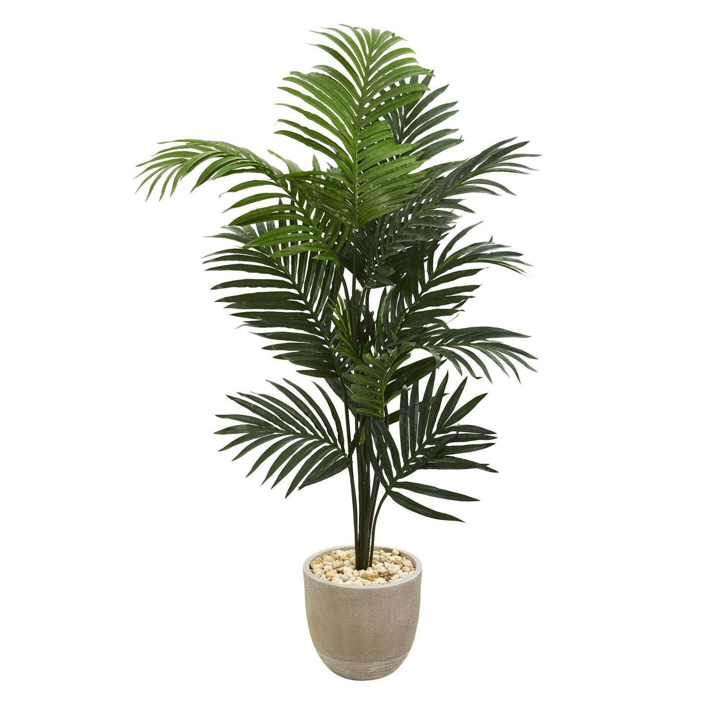 62” Kentia Artificial Palm Tree in Sandstone Planter