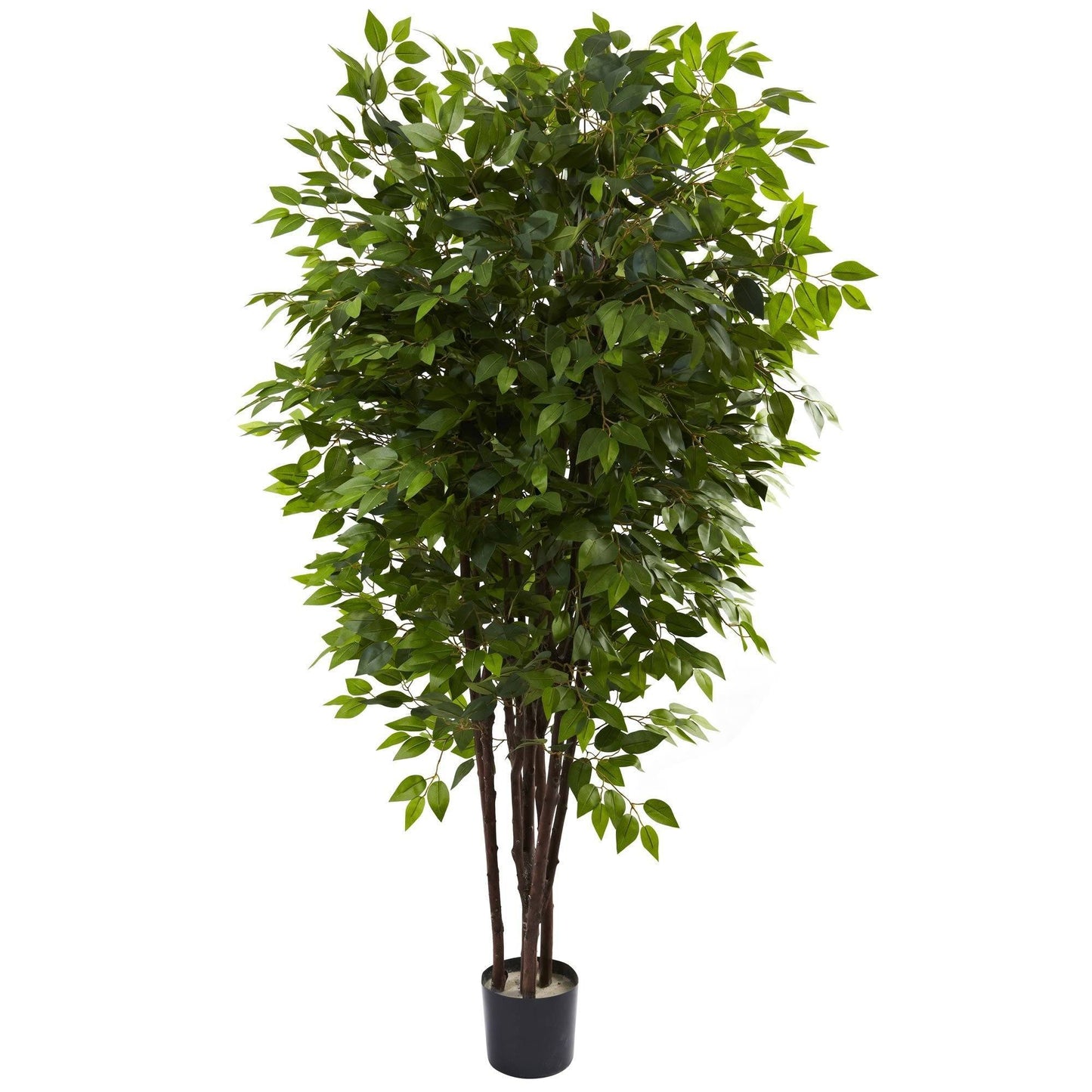 Arbre ficus de luxe de 6,5 pieds