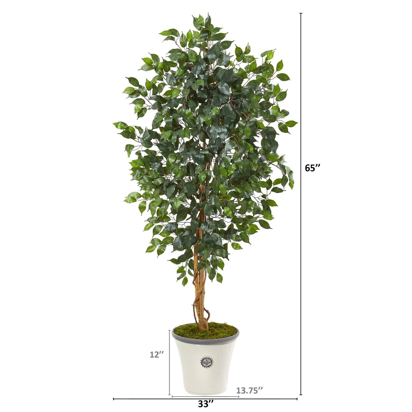 65” Ficus Artificial Tree in Decorative Planter