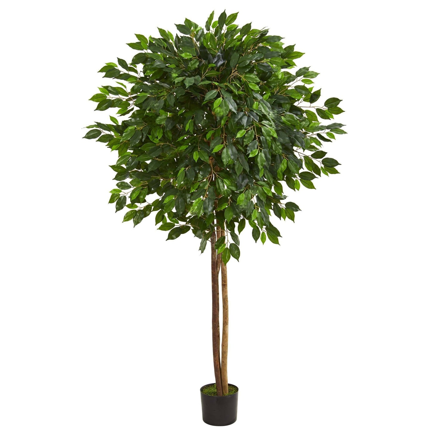 Árbol ficus artificial de 6,5 pies