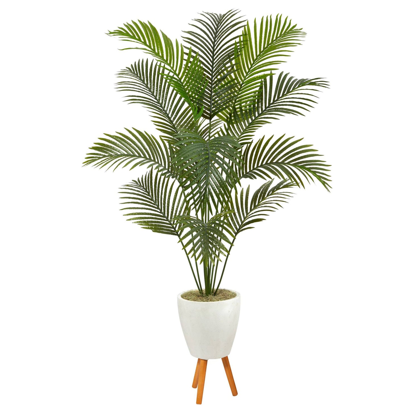 6.5’ Golden Cane Artificial Palm Tree in White Planter with Stand